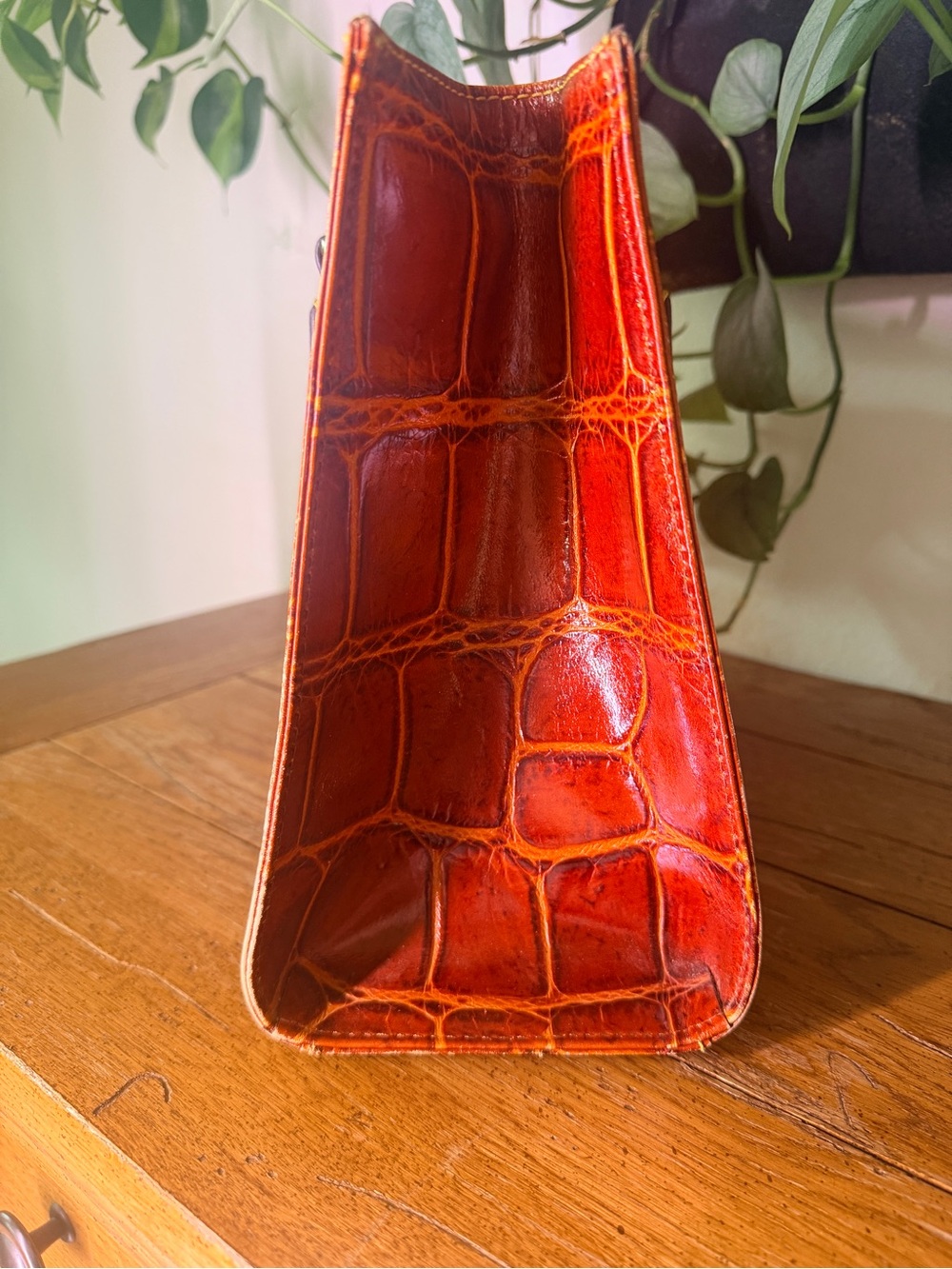 Dooney & Bourke Red Croc-Embossed Leather Tote with Dark Brown Handles - Picture 2 of 4